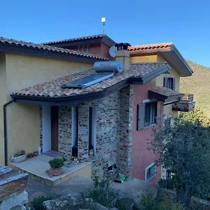 Il Vecchio Ulivo Sa Tanca Ussàssai